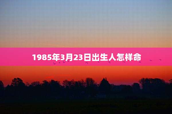 1985年3月23日出生人怎样命