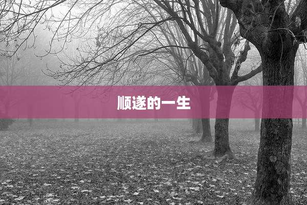 顺遂的一生