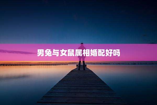 男兔与女鼠属相婚配好吗