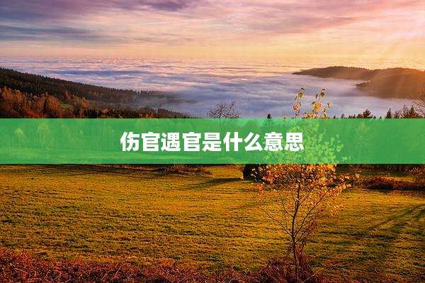 伤官遇官是什么意思