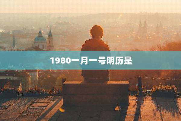 1980一月一号阴历是