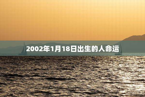 2002年1月18日出生的人命运