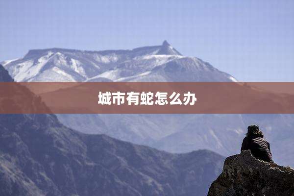 城市有蛇怎么办