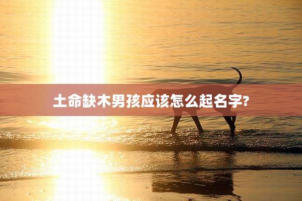 土命缺木男孩应该怎么起名字?