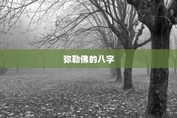 弥勒佛的八字