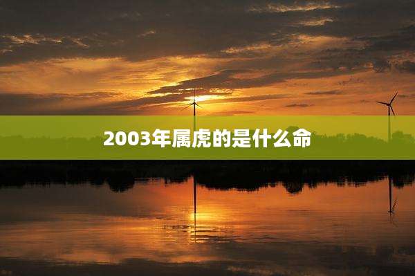2003年属虎的是什么命