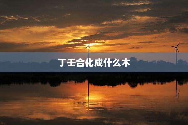 丁壬合化成什么木