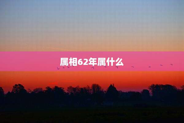 属相62年属什么