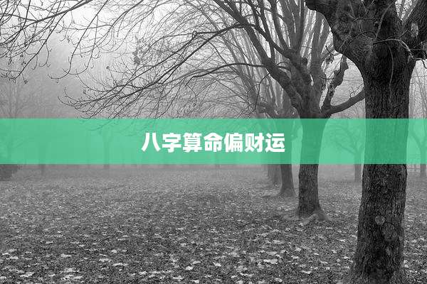 八字算命偏财运