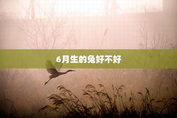 6月生的兔好不好