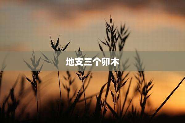 地支三个卯木