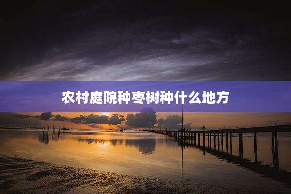 农村庭院种枣树种什么地方
