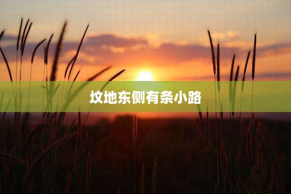 坟地东侧有条小路