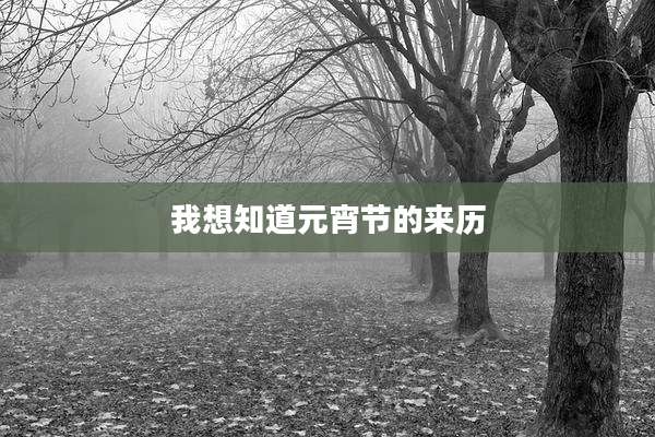 我想知道元宵节的来历