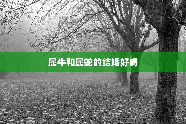 属牛和属蛇的结婚好吗