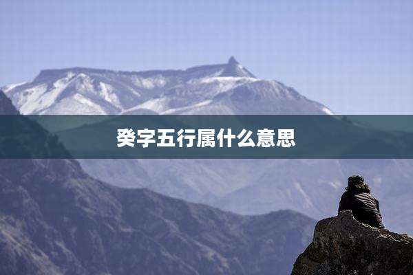 癸字五行属什么意思