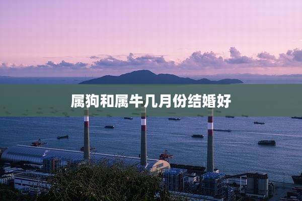 属狗和属牛几月份结婚好