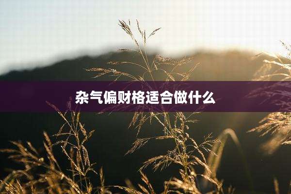 杂气偏财格适合做什么