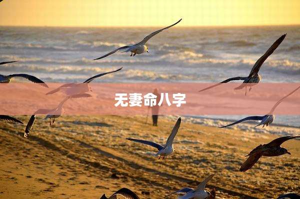 无妻命八字