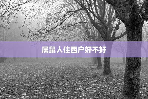 属鼠人住西户好不好