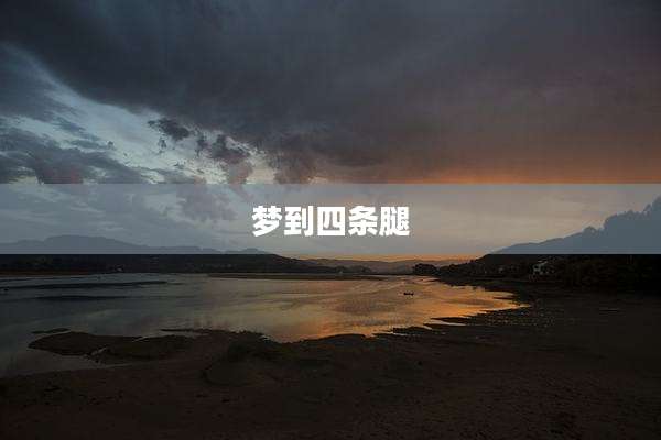 梦到四条腿