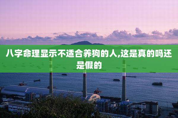 八字命理显示不适合养狗的人,这是真的吗还是假的