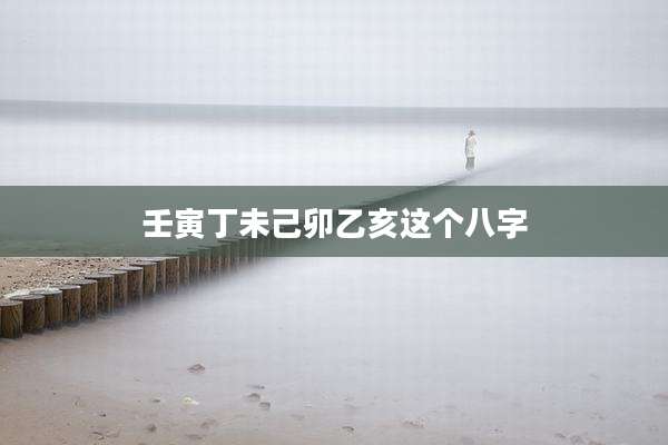 壬寅丁未己卯乙亥这个八字
