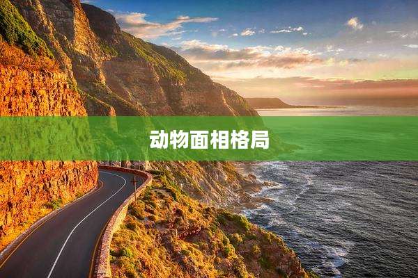 动物面相格局
