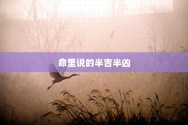 命里说的半吉半凶