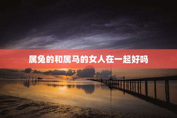 属兔的和属马的女人在一起好吗