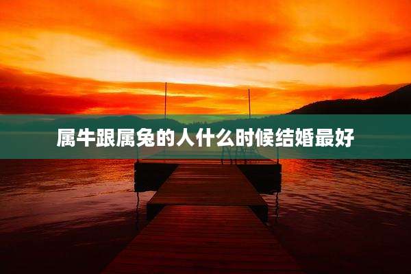 属牛跟属兔的人什么时候结婚最好