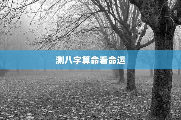 测八字算命看命运