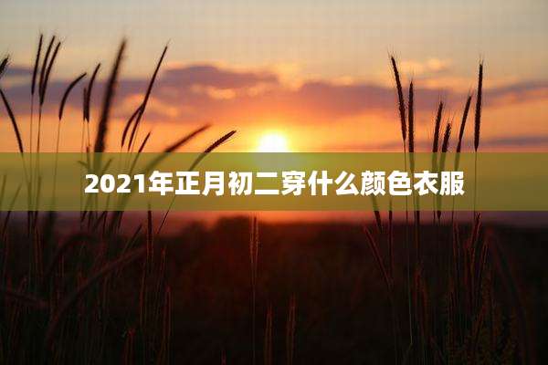 2021年正月初二穿什么颜色衣服