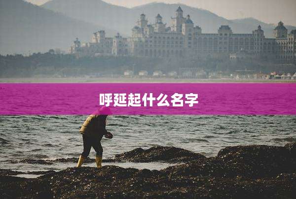呼延起什么名字