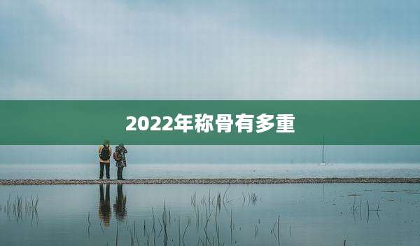 2022年称骨有多重