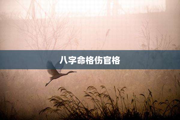八字命格伤官格