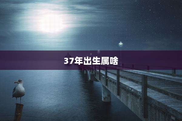 37年出生属啥