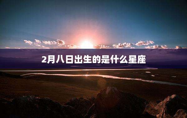 2月八日出生的是什么星座