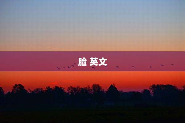 脸 英文