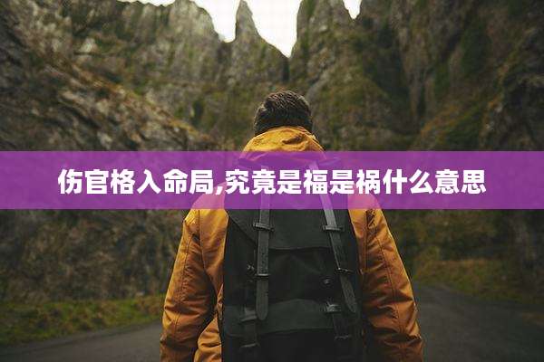 伤官格入命局,究竟是福是祸什么意思