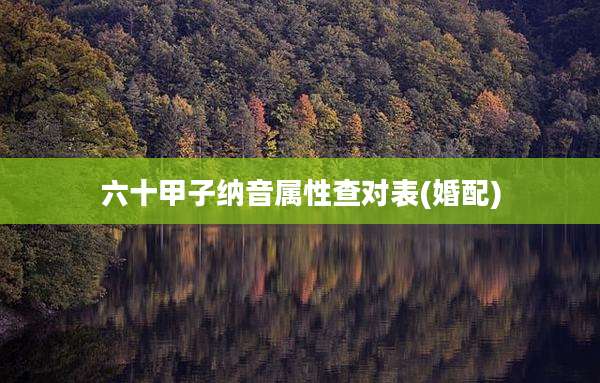 六十甲子纳音属性查对表(婚配)