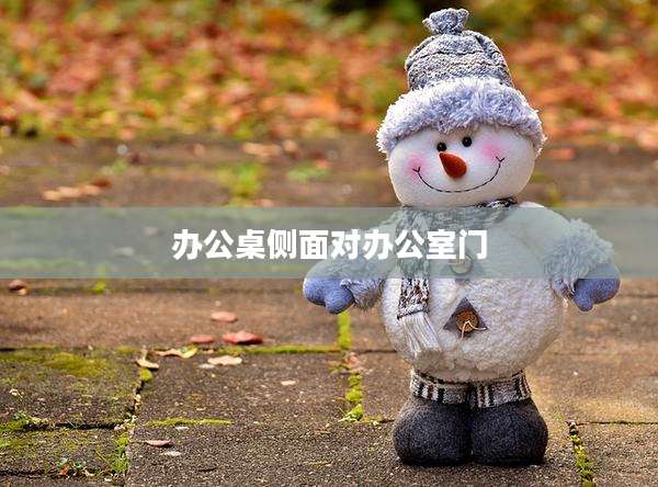 办公桌侧面对办公室门