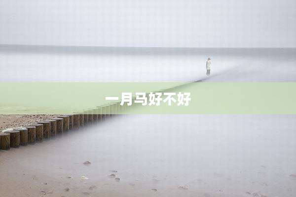 一月马好不好