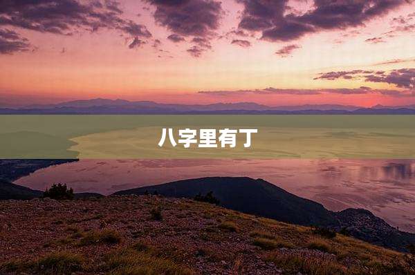 八字里有丁