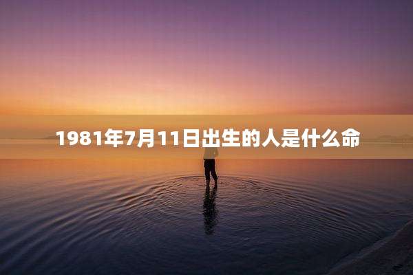 1981年7月11日出生的人是什么命