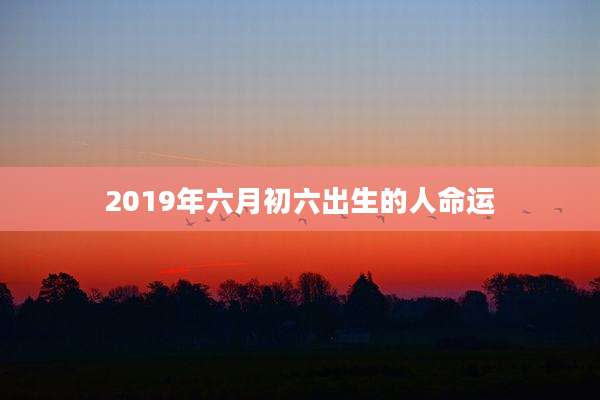 2019年六月初六出生的人命运