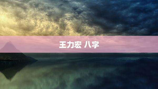 王力宏 八字