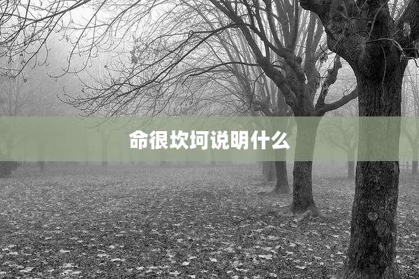 命很坎坷说明什么