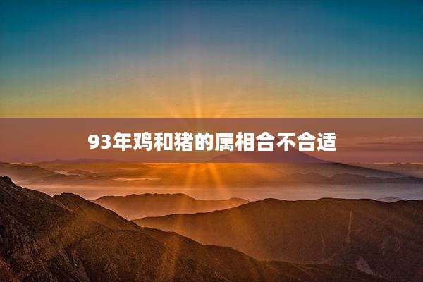 93年鸡和猪的属相合不合适