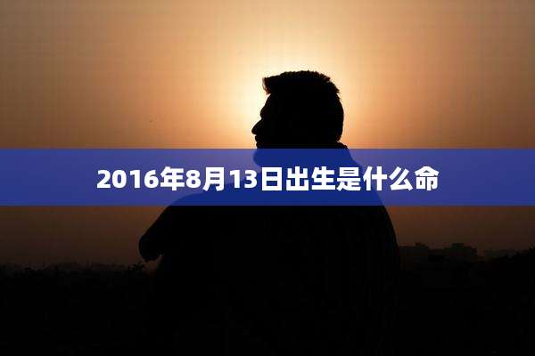 2016年8月13日出生是什么命